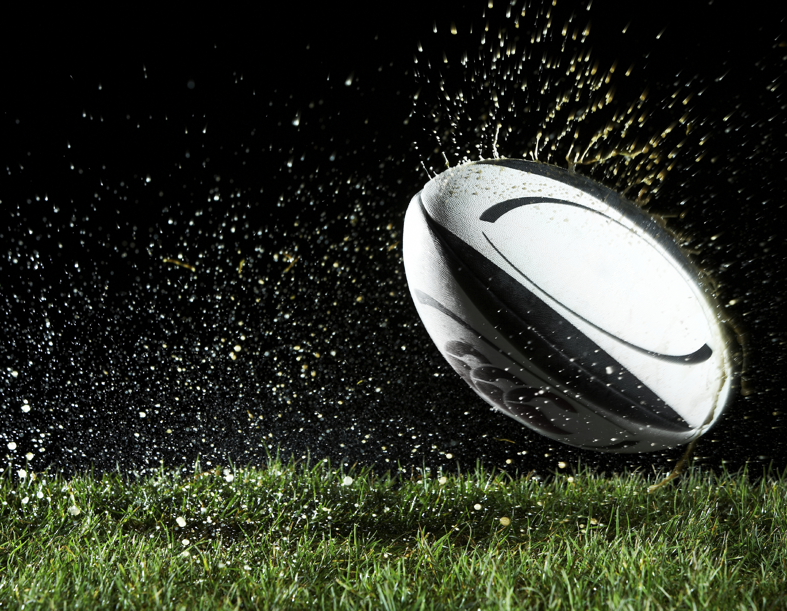 Businesses should embrace the Rugby World Cup