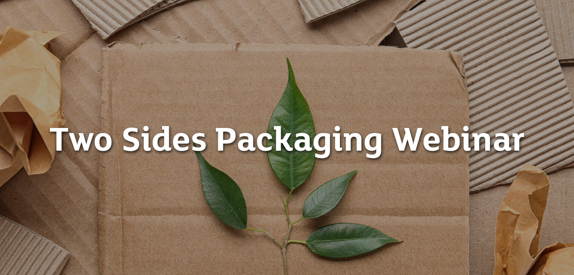 Two sides Webinar - Paper Packaging, The Sustainable Choice