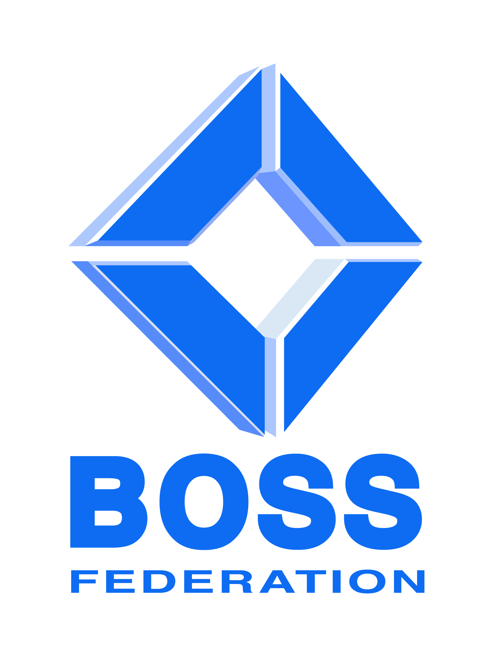 Important message to all BOSS members concerning BOSS online services