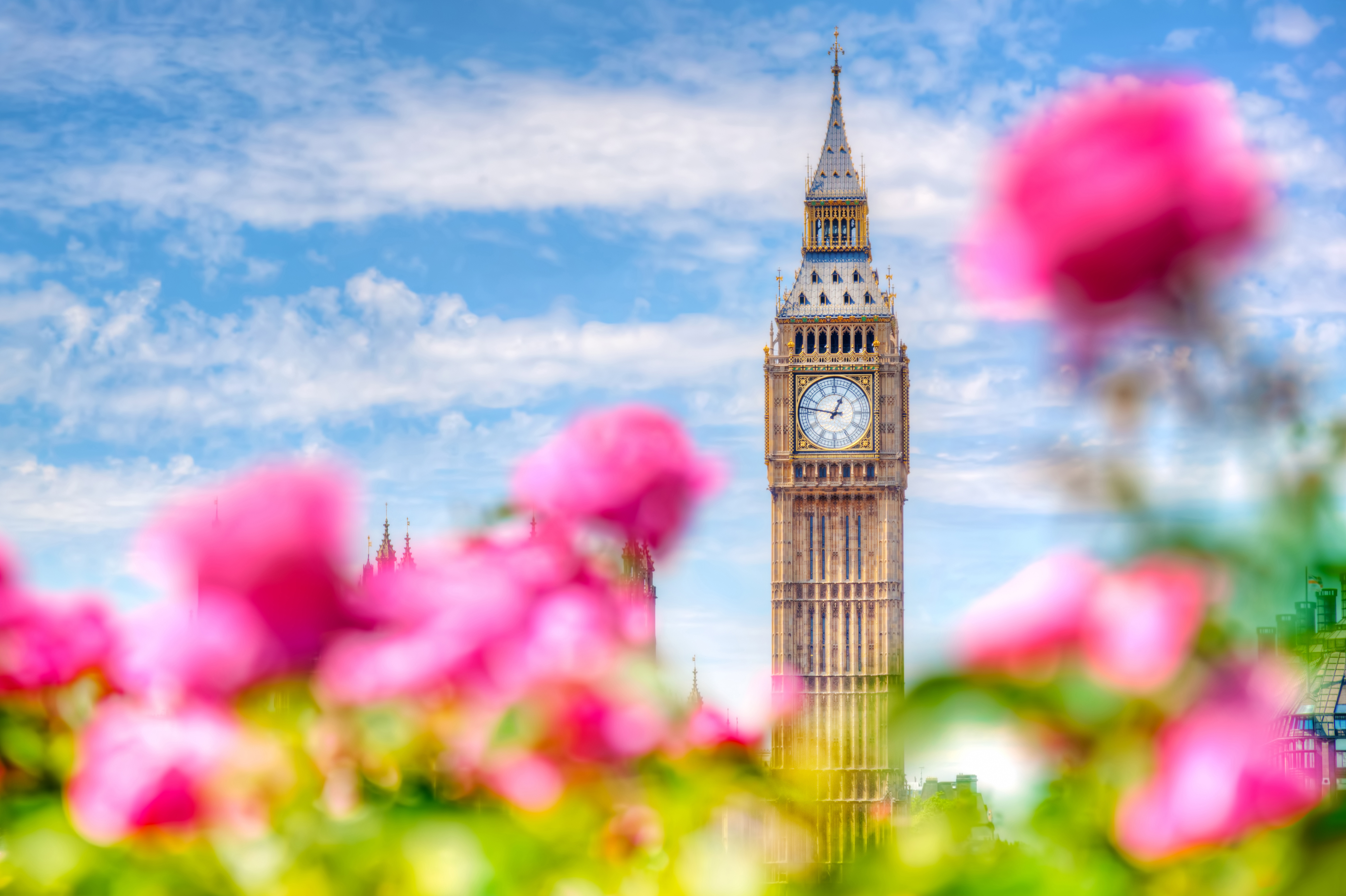 Spring Statement – opportunities for the industry 