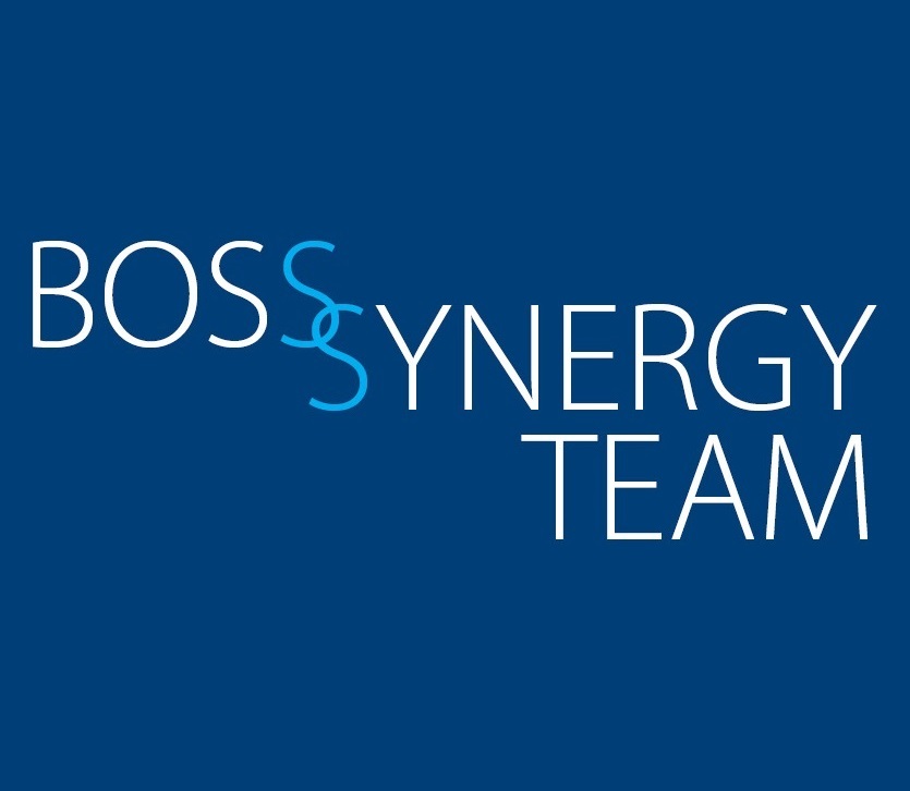Introducing the BOSS Synergy Team