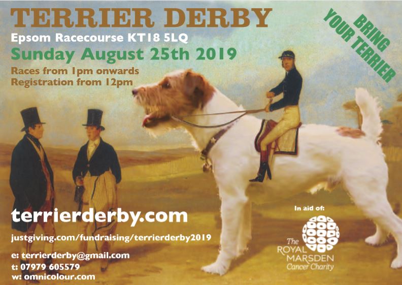 The Terrier Derby – the greatest dog race you should have heard of!